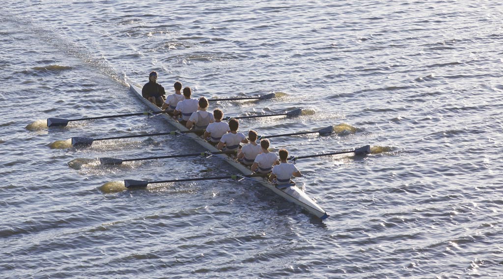 Intelligence collective